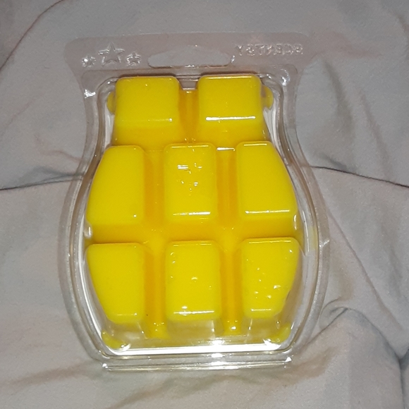 Squeeze the Day Scentsy wax bar - Picture 2 of 2